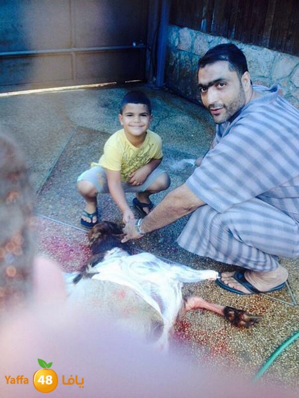 dabe7 ludj31 (67).jpg